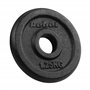 Rebelle Fonte Poids Set 4x1.25kg Trou 31mm Plaque Classique RBA-2126