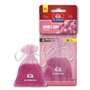 Désodorisant Pour Voiture Dr Marcus Fresh Bag Chewing gum Parfum Pochette