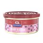 Désodorisant Pour Voiture Dr Marcus Aircan Cerisier 40 g Parfum Cannette