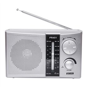 Radio ELBE PR451