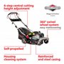 NAX POWER PRODUCTS 1000S moteur Briggs & Stratton série 450E 125 cm3 largeur de coupe 42 cm panier 45l système de lavage du boît