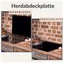 TMK Cache-plaque en verre 60 x 52 cm pour cuisinières électriques ou à induction, plaque de protection anti-éclaboussures, planc