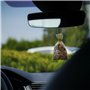Désodorisant Pour Voiture Dr Marcus Fresh Bag Lavande Violet Rainbow Garden Bois Parfum Pochette