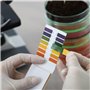 Retoo Lot de 80 bandelettes de test de pH en papier de tournesol pour l'urine et la salive Bandelettes de test d'indicateur de p