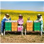 LYSON Blouson d'apiculture avec chapeau blouse de protection contre les moustiques et les insectes Style sportif - Vêtement d'ap