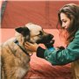 Retoo Bouteille d'eau pour Chien Portable 500 ML Gourde d'eau Voyage pour Animaux Animal Domestique Distributeur pour Promenades