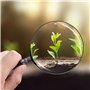 Retoo Grande loupe de Lecture en Verre pour Livres scientifiques journaux Lecture Insectes Passe-Temps Observation de qualité su
