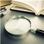 Retoo Grande loupe de Lecture en Verre pour Livres scientifiques journaux Lecture Insectes Passe-Temps Observation de qualité su