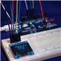 module LCD