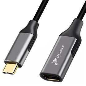Reagle Adaptateur USB-C vers DisplayPort 4K 60 Hz - Son surround 7.1