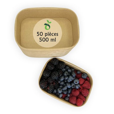ECOPICNIC Lot de 50 saladiers rectangulaires 500 ML jetables | Barquettes Alimentaires sans Couvercle pour salades