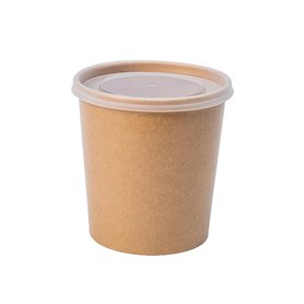 ECOPICNIC Lot de 500 gobelets à Soupe jetables de 470 ML avec Couvercle en PP