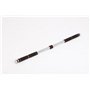 extensible