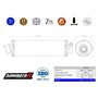 DOMINATOR Ligne complète d'échappement Collecteur Silencieux ST compatible avec XJ 900 Diversion 1994-2003