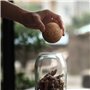 Kissmii Boule de Liège pour Vin, Bouchon en Bois pour Carafe à Vin, Remplacement de Bouteille, Accessoires pour Bouchons de Vin