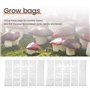 Wrtysully 100 PièCes SéRies Substrat de Baies de Seigle, Champignon Sac de Spawn Champignon Spawn Grandir Sac Haute TempéRature 