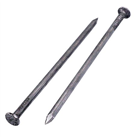 Lot de 400 clous de construction en acier 2