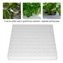 Éponge hydroponique, Éponges de Serre, 100 pièces éponge hydroponique plantation outil de jardinage éponges de semis carrées pou