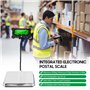 Naemriee Balance Numérique PS21 200 Kg Balance Postale Électronique Balance au Sol en Acier Inoxydable Affichage LCD Rétroéclair