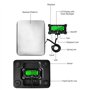 Wzxksoac Balance Numérique PS21 200 Kg Balance Postale Électronique Balance au Sol en Acier Inoxydable Affichage LCD Rétroéclair