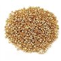 casstaly 1000 2.5mm Clou Rivet Griffe en Cuivre d'or Decoration Sac Ceinture