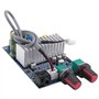 Fozriybefy Tpa3116 Carte Amplificateur de Subwoofer 100 W Sortie Basse Dc12-24V Petits Amplificateurs de Puissance Numériques Ac