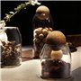 Bouchon en Bois pour Carafe à Vin