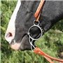 Bnnlqpsttg Entraînement Équestre Anneau de Mors de Cheval Mors de Filet de Bouche de Cheval Mors de Bouche de Cheval pour Équipe