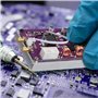 Bnnlqpsttg Module D'Amplificateur de Puissance Portable DC 12-15V 20W pour Émetteur-Récepteur à Ondes Courtes avec Filtre Passe-