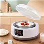 Fermenteur Automatique pour Natto
