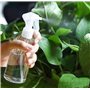 Xianjuun Lot de 3 flacons pulvérisateurs vides en plastique de 200 ml pour eau végétale - Arrosoir pour le nettoyage du jardin d