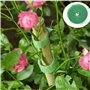 Attache Velcro réglable pour plantes - 20 m - 10 mm - Idéal pour le jardin et les plantes d'intérieur - Vert