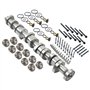 Niceke Jeu d'arbres à cames + 10 × Poussoirs hydrauliques 038109309A 070109101Q 2.5 R5 TDI Compatible avec BNZ BPC BPD BPE