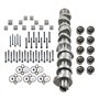 Niceke Jeu d'arbres à cames + 10 × Poussoirs hydrauliques 038109309A 070109101Q 2.5 R5 TDI Compatible avec BNZ BPC BPD BPE