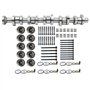 Niceke Jeu d'arbres à cames + 10 × Poussoirs hydrauliques 038109309A 070109101Q 2.5 R5 TDI Compatible avec BNZ BPC BPD BPE