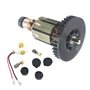 Porte-balais pour Moteur de Voiture, Pexorin Jeu de Supports de Carbone Brsh 619218-8/619218B8, for BGA450 BGA452 DGA452 GA400 B