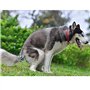 sac de collecte de matières fécales de chien