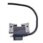 JVEIWAD Module de Bobine d'allumage LV16492 avec Bougie d'allumage F7TC, Compatible avec Les voiturettes de Golf Club Car DS (19