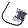 JVEIWAD Module de Bobine d'allumage LV16492 avec Bougie d'allumage F7TC, Compatible avec Les voiturettes de Golf Club Car DS (19
