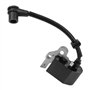BEUAOCK Bobine d'allumage avec Bougie d'allumage (5783035-01, 5753087-01, 9288-332101, 9288-334701-D) Compatible avec McCulloch 