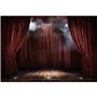 YongFoto 3x2m Fond de Photographie de Scène Vintage Plancher en Bois Toile de Fond de Scène Rideau Rouge Foncé Smog Photo pour F