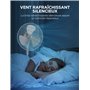 Idéal pour la Mai