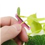BTWYU Outils de Jardin, truelle de Jardin Jardin V Plat for Tomate modèle T Concombre Raisin Outil à Fruits Anneau Melon Ciseaux