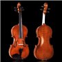 Débutant Violin Set avec Manuel d'Utilisation