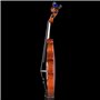 Aileen Violon 4/4 Enfant, Débutant Violin Set avec Manuel d'Utilisation