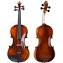 Violin Débutant avec Aspect Antique Brillant