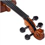 Aileen Violon 4/4 Adulte, Violin Débutant avec Aspect Antique Brillant