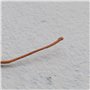The Lord of the Tools 2 Paires Balais de Charbon Moteur 10x6x6mm Contenant du Cuivre pour Lève-vitre d'essuie-Glace Ventilateur 