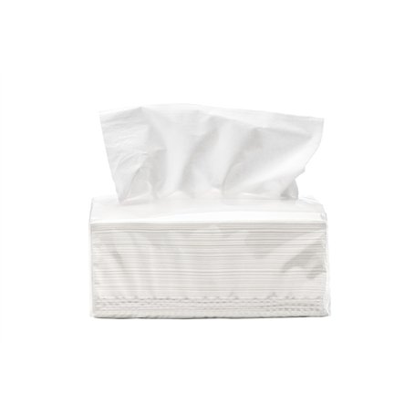 Mouchoirs pour le visage 2 plis Blanc 100 feuilles (Boîte de 45)