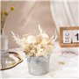 Fleurs Sechees Blanche Vraies Fleurs Séchées Fleurs Pressées Séchées pour Scrapbooking Bougie B